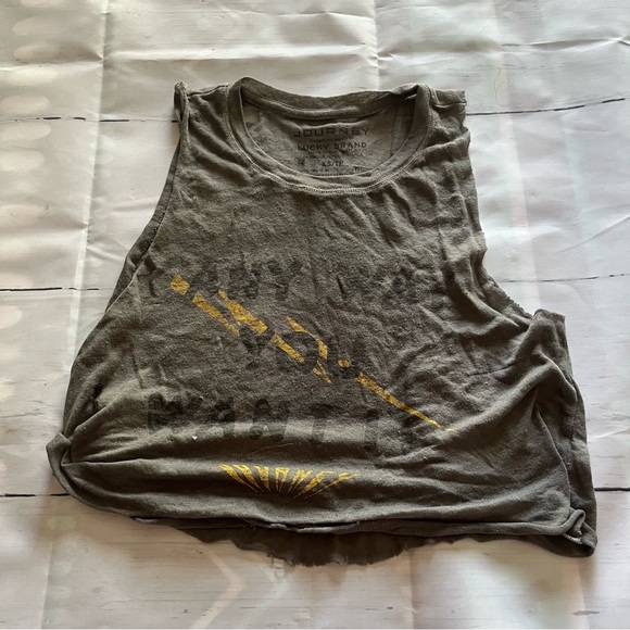 Gray Sleeveless Sheer ‘Any Way You Want It’ Journey Cut Off Crop Top, Size XS - Picture 1 of 9